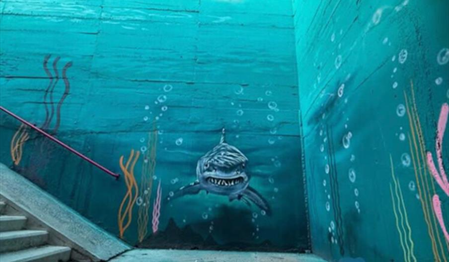 Acuario (Steve Camino)