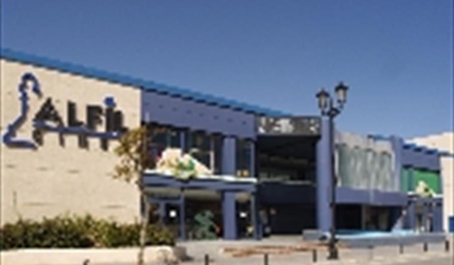 Cine Alfil