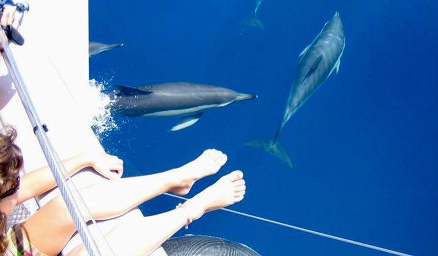 Fuengirola Sea Trips