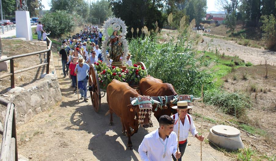 La Romería Virgen del Rosario