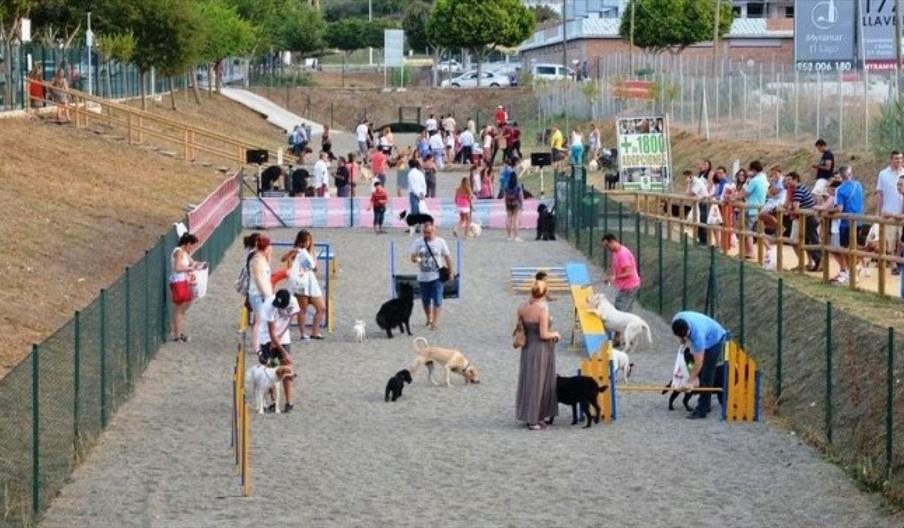 Miniparque canino
