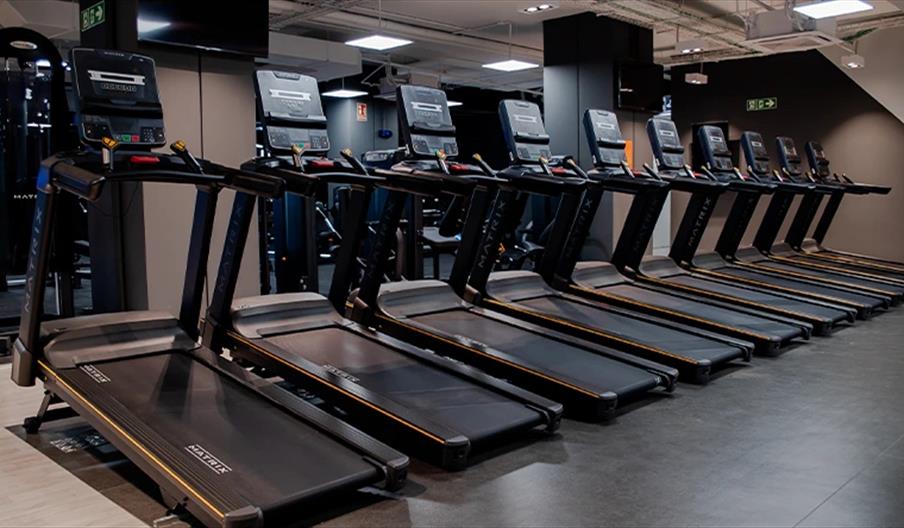 Gimnasio VivaGym
